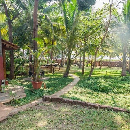 Saminder Beach House Jaitapur Ngoại thất bức ảnh