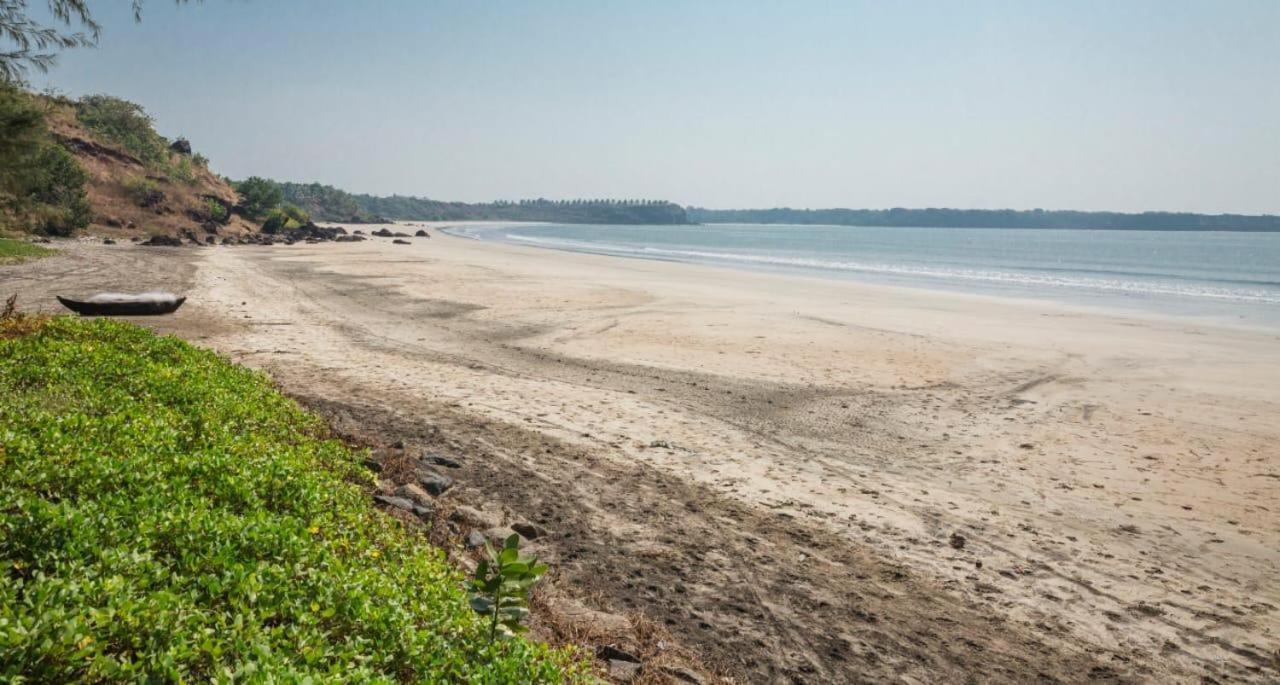 Saminder Beach House Jaitapur Ngoại thất bức ảnh