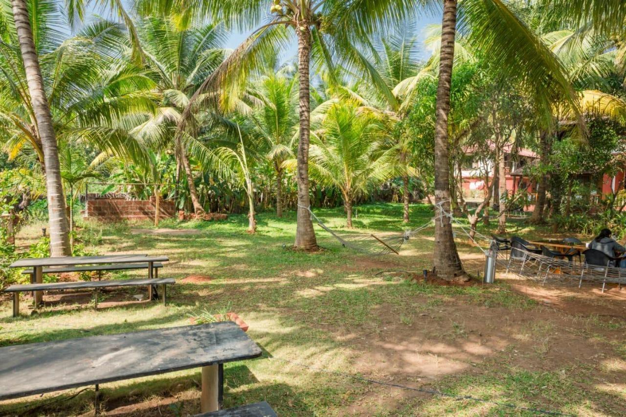 Saminder Beach House Jaitapur Ngoại thất bức ảnh